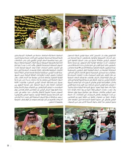 الصفحة 11