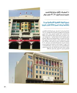 الصفحة 25