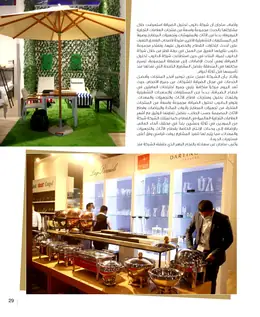 الصفحة 31