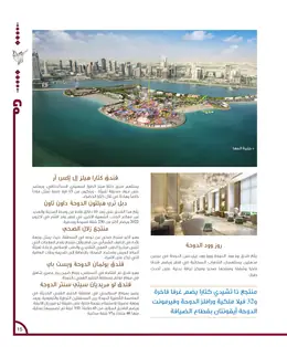 الصفحة 17