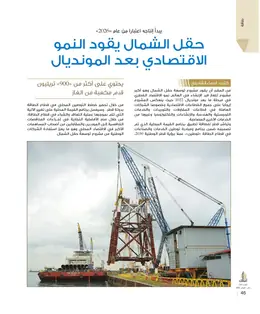 الصفحة 48