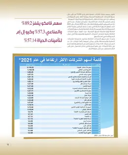 الصفحة 13