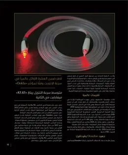 الصفحة 13