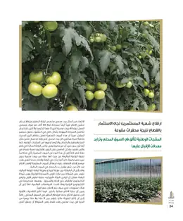 الصفحة 36