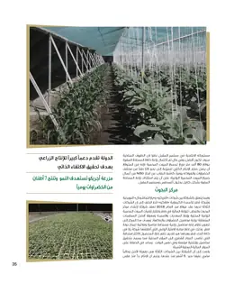 الصفحة 37