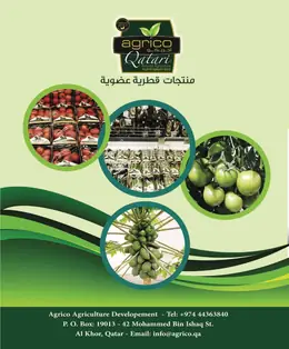 الصفحة 39