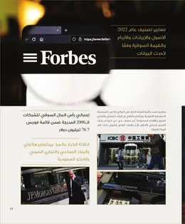 الصفحة 13