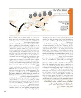 الصفحة 29