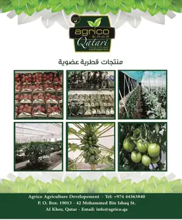 الصفحة 31