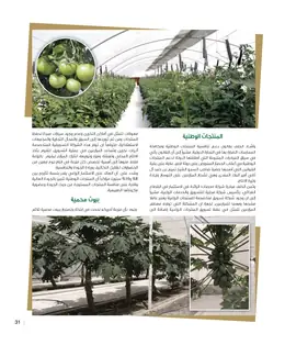 الصفحة 33
