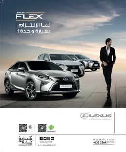 الصفحة 3