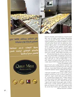 الصفحة 29