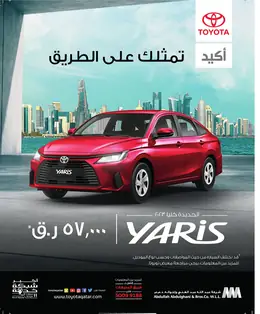 الصفحة 13